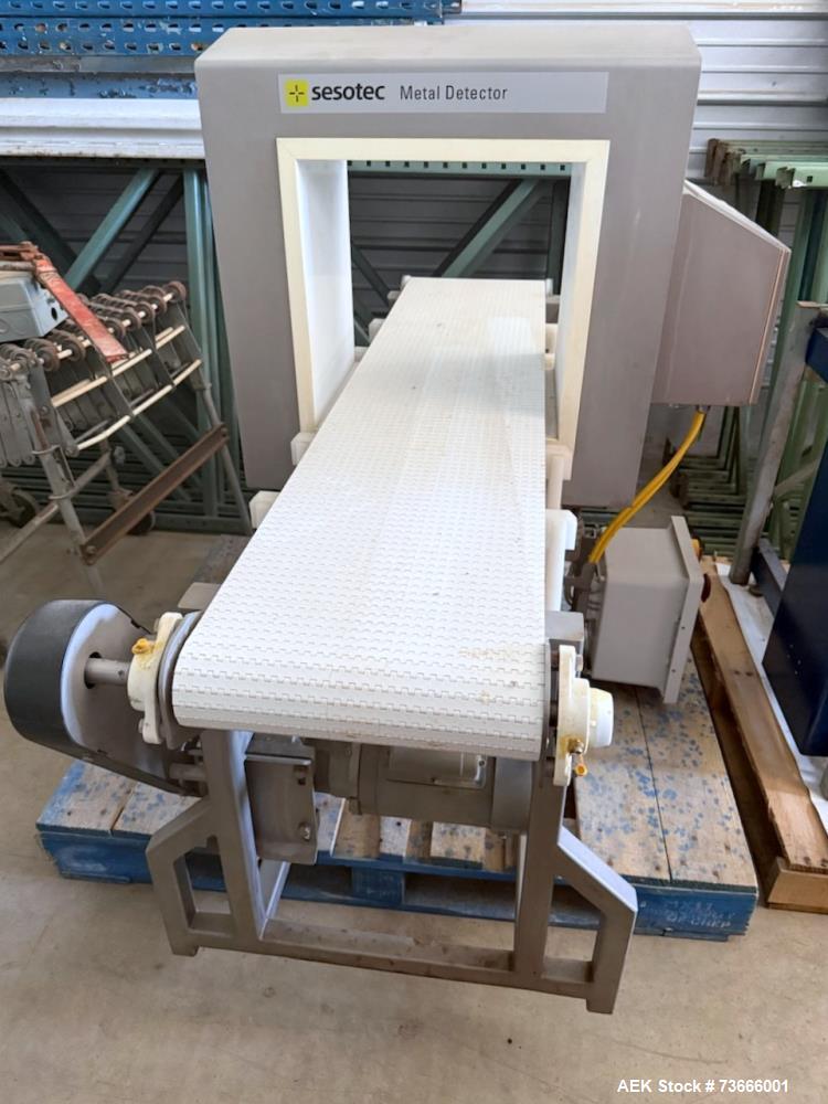 https://ww2.aaronequipment.com/Images/ItemImages/Packaging-Equipment/Metal-Detectors-Conveyor-Mounted/Sesotech-Raycon-GLS-400-400-150-289-143_73666001_aa.jpg